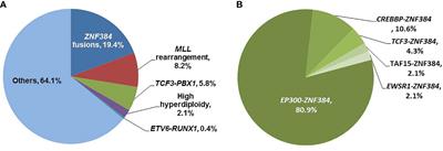 The Prognostic Significance of ZNF384 Fusions in Adult Ph-Negative B-Cell Precursor Acute Lymphoblastic Leukemia: A Comprehensive Cohort Study From a Single Chinese Center